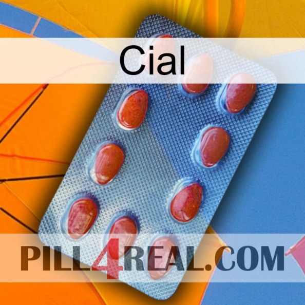 Cial 06.jpg